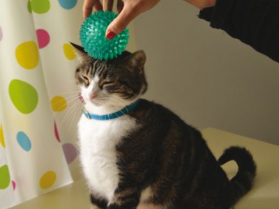 Igelball für Massage- & TrainingsballIgelball