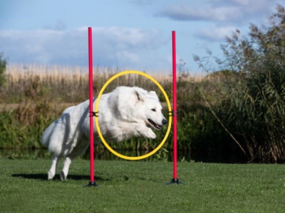 Multifunktionales Gummifuß-Set, 7-teilig