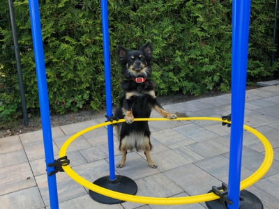 Multifunktionales Gummifuß-Set, 13-teilig