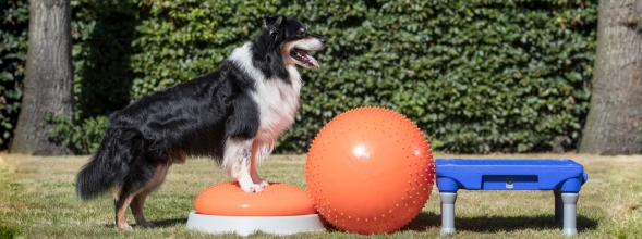 Gleichgewichtstraining Teil 1
