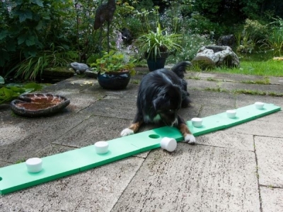 Schnüffeltrainer – Suchspiel