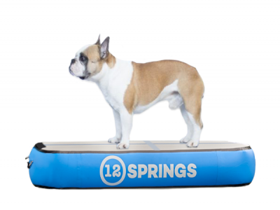 MOOFFZ Airkissen L100 × B60 × H20 cm