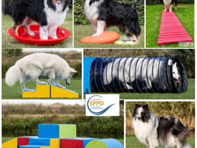 SPPD Set 3 Welpentraining