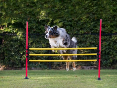 Trainingsstangen 100 cm