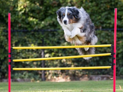 Slalom- und Hürdenset, 12-teilig
