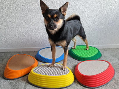 Taktile Hunde-Steine