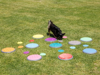 Tastscheiben Set 5-teilig