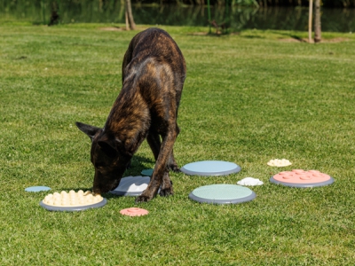 Tastscheiben Set 5-teilig Nordic