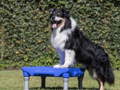 KLIMB – Trainingsplattform inkl. Unterrichtsplan