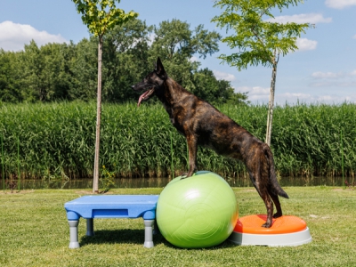 5-teiliges Challenge-Set Plus