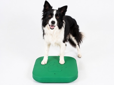 Togu Dynair ANIMAL Pad