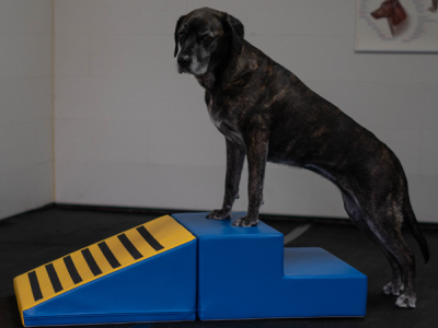 Mooffz Soft Play Schaumstoffblöcke Set 2-teilig, Treppe und Schräge