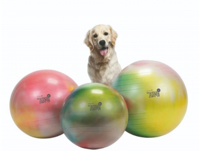 Treibball geflammt 55 tm 75 cm