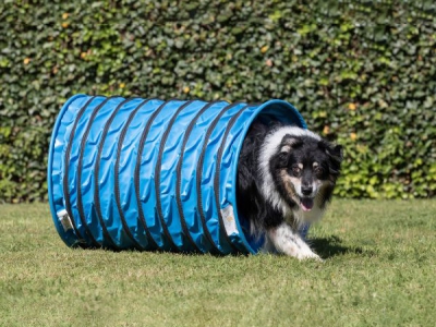 Agility-Tunnel Hundetunnel 1 m Ø 60 cm – komplett Anti-Rutsch