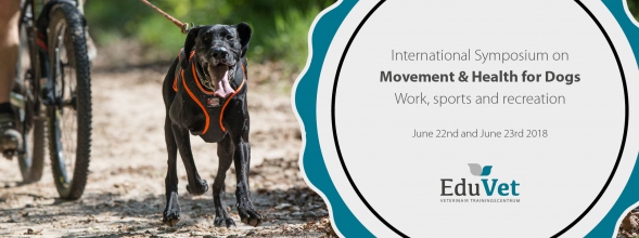 Internationales Symposium über Bewegung und Gesundheit für Hunde